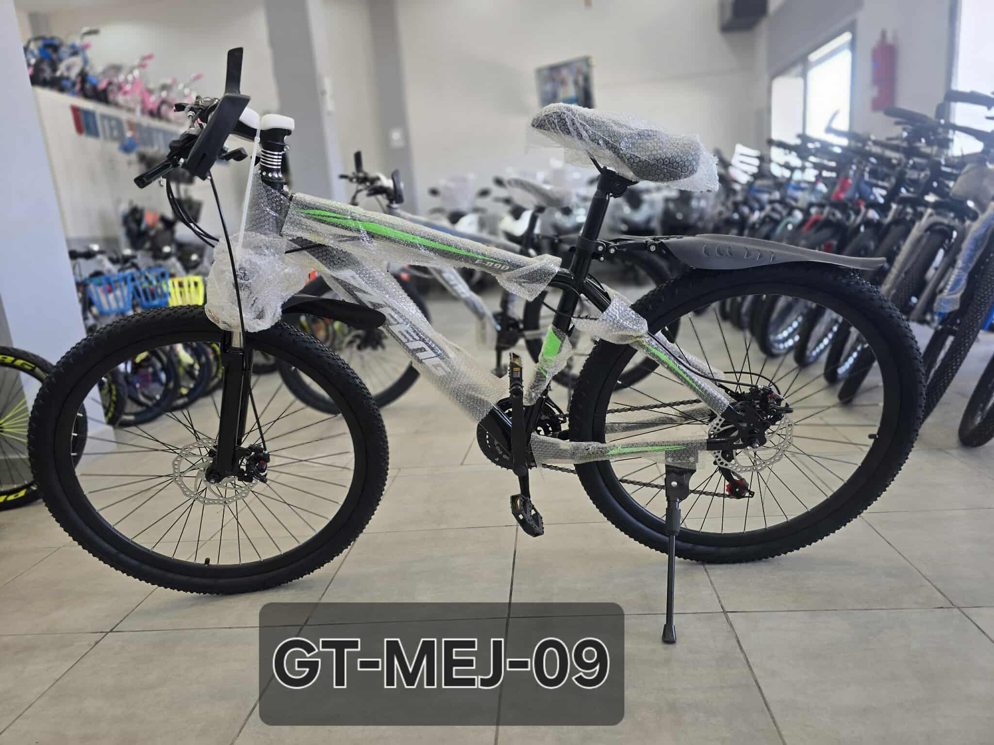 Vue 5 - Vélos GT-MEJ-09