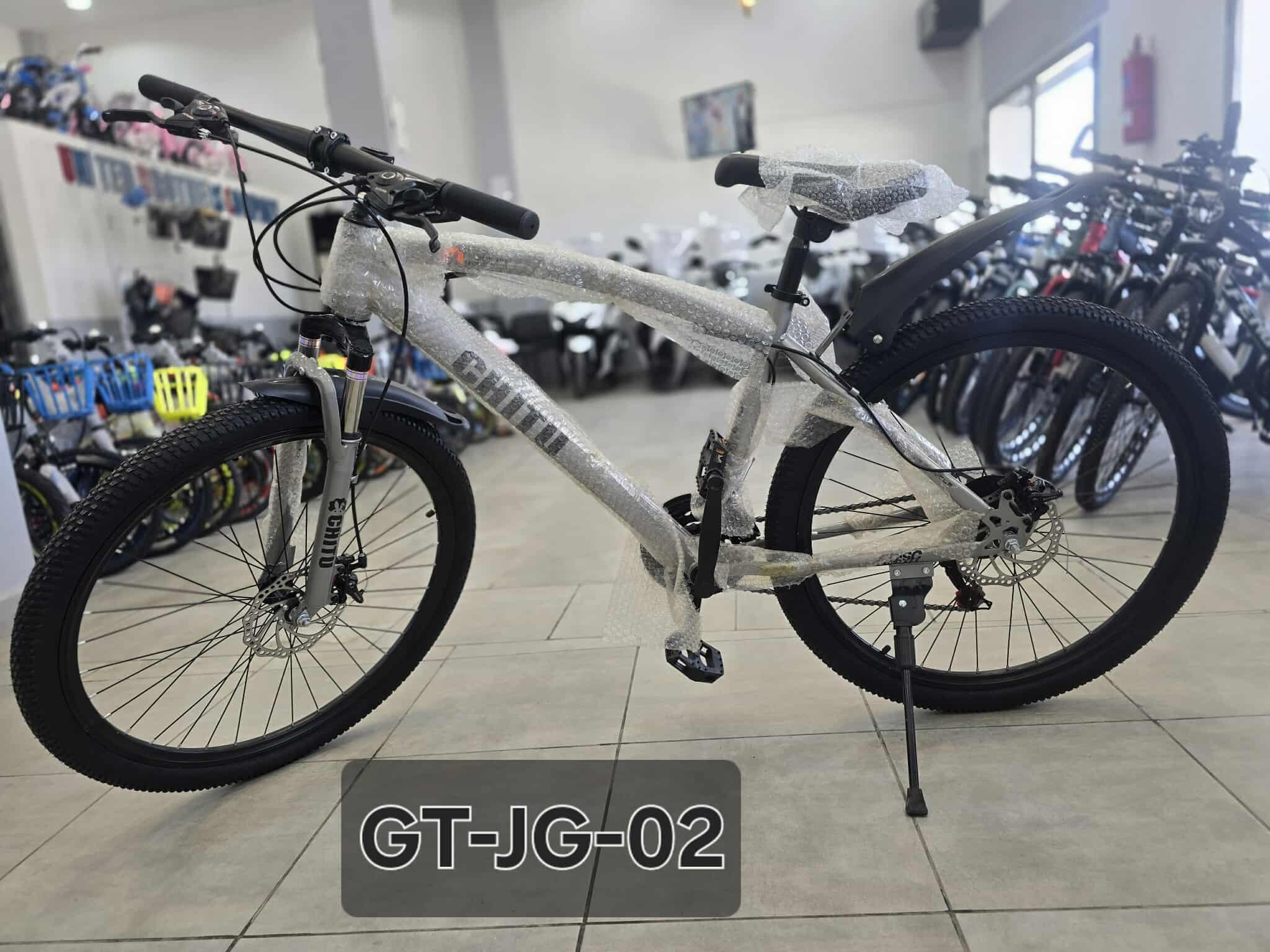 Vue 3 - Vélos GT-JG-02